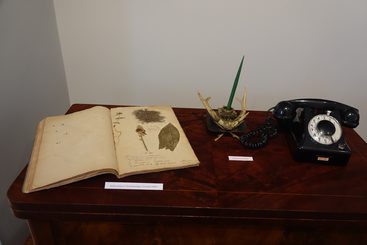 „Skarby apteki” - nowa wystawa w Muzeum Ziemi Wieluńskiej